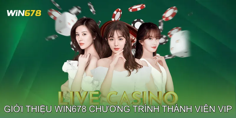 Giới thiệu Win678 Chương trình thành viên VIP