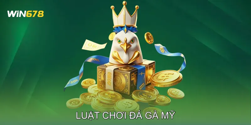 Luật Chơi Đá Gà Mỹ